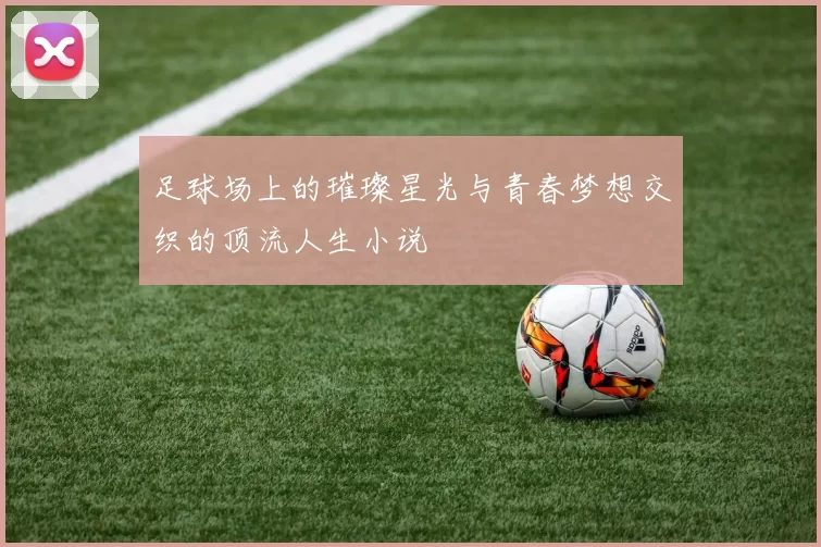 足球场上的璀璨星光与青春梦想交织的顶流人生小说