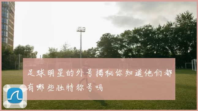 足球明星的外号揭秘你知道他们都有哪些独特称号吗